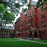 Harvard Üniversitesi