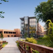 Hartford Üniversitesi